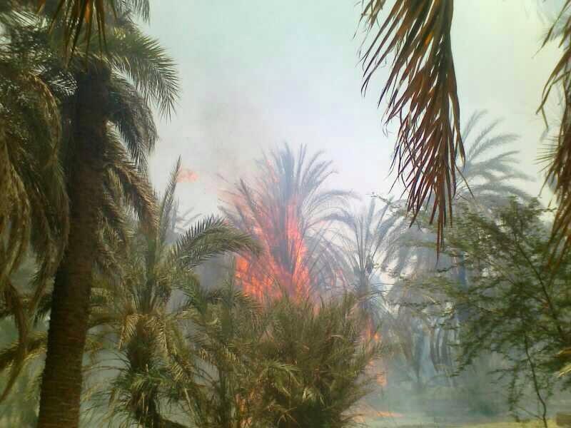 image77.jpg Hosting at Sudaneseonline.com