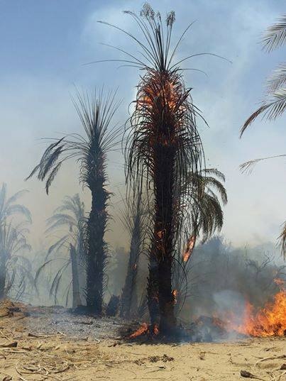 image93.jpg Hosting at Sudaneseonline.com