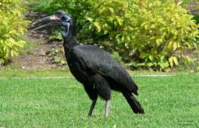 imagesCA1GWVZ9.jpg Hosting at Sudaneseonline.com