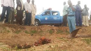 imagessudan11sudan1.jpg Hosting at Sudaneseonline.com