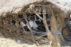 imagessudan3sudan7.jpg Hosting at Sudaneseonline.com