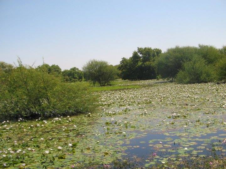 iron4.jpg Hosting at Sudaneseonline.com