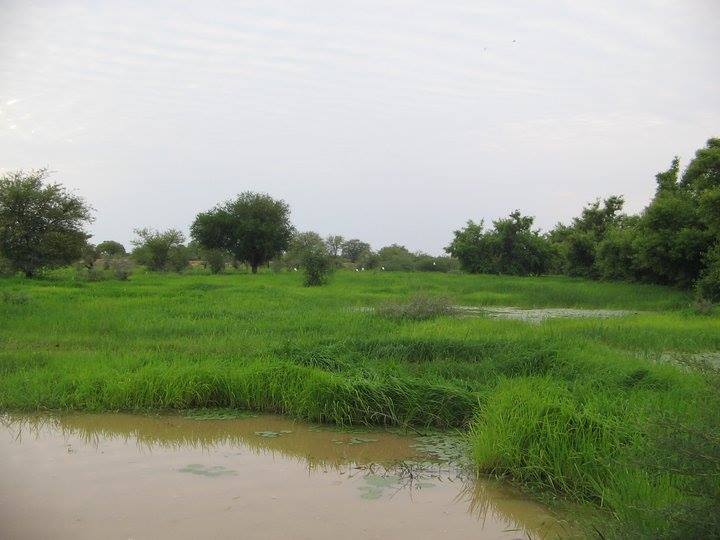 iron5.jpg Hosting at Sudaneseonline.com