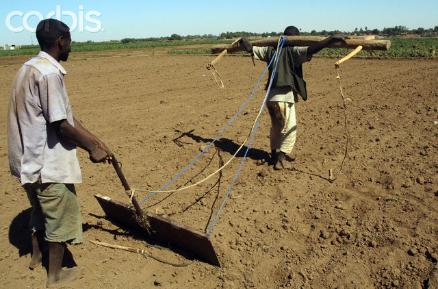 mo.jpg Hosting at Sudaneseonline.com