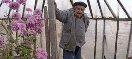 mujell.jpg Hosting at Sudaneseonline.com