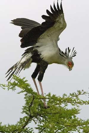 n4hr_13647591342.jpg Hosting at Sudaneseonline.com