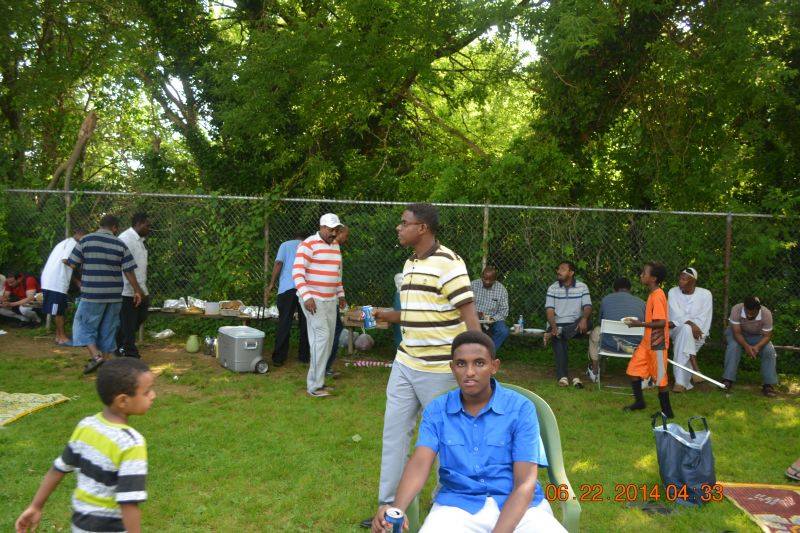 pnx-5.jpg Hosting at Sudaneseonline.com