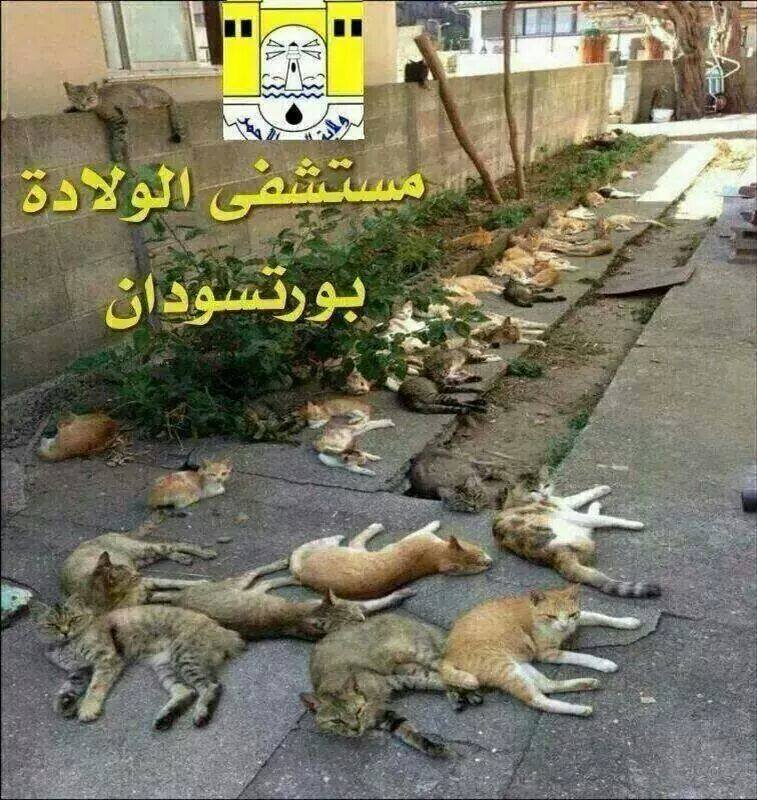 portsudan.jpg Hosting at Sudaneseonline.com