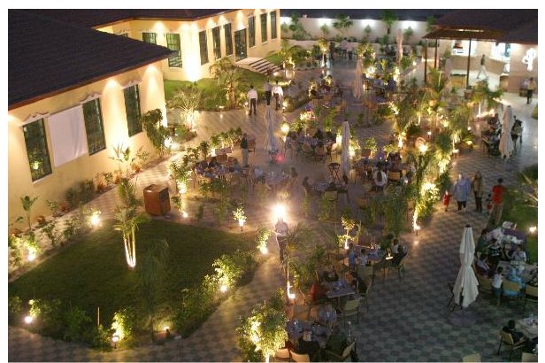 roots4.jpg Hosting at Sudaneseonline.com