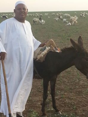 s2.jpg Hosting at Sudaneseonline.com