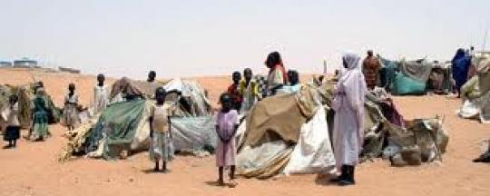 sora.jpg Hosting at Sudaneseonline.com