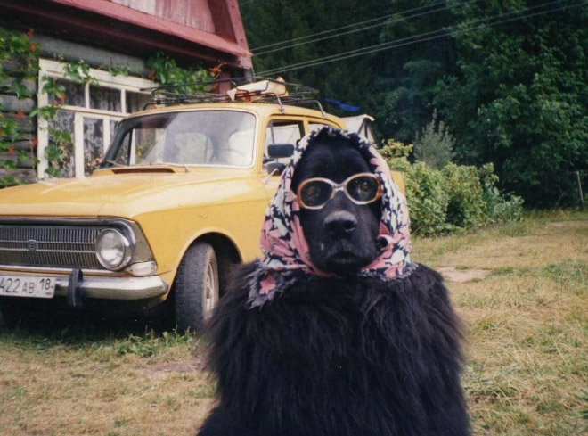 sudansudansudansudan108.jpg Hosting at Sudaneseonline.com