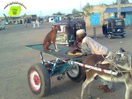 sudansudansudansudan120.jpg Hosting at Sudaneseonline.com