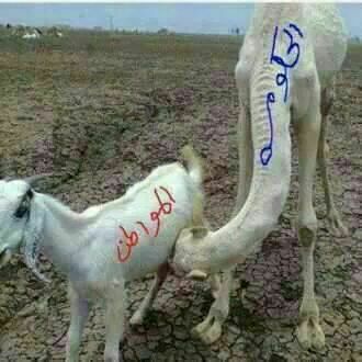 sudansudansudansudan134.jpg Hosting at Sudaneseonline.com