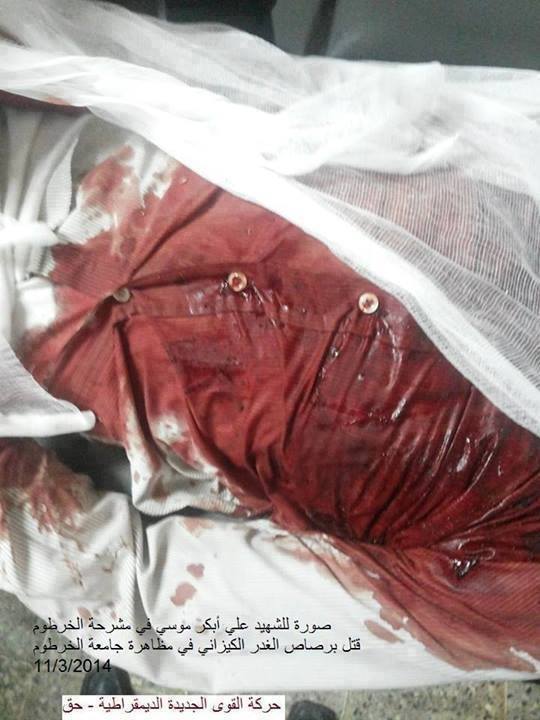 sudansudansudansudan15.jpg Hosting at Sudaneseonline.com