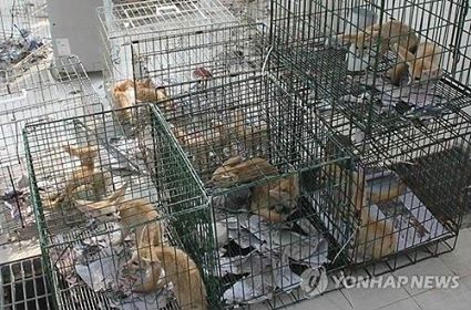 sudansudansudansudan188.jpg Hosting at Sudaneseonline.com