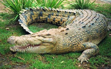 sudansudansudansudansudan207.jpg Hosting at Sudaneseonline.com