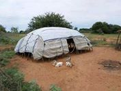 sudansudansudansudansudansudan126.jpg Hosting at Sudaneseonline.com