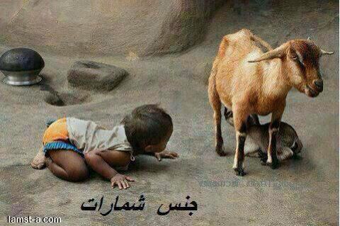 sudansudansudansudansudansudan93.jpg Hosting at Sudaneseonline.com