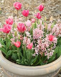 sudansudansudansudansudansudansudansudan149.jpg Hosting at Sudaneseonline.com