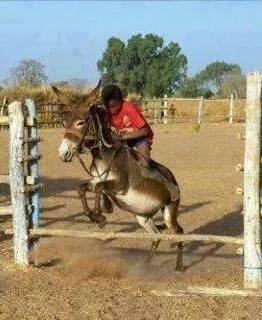 sudansudansudansudansudansudansudansudan44.jpg Hosting at Sudaneseonline.com