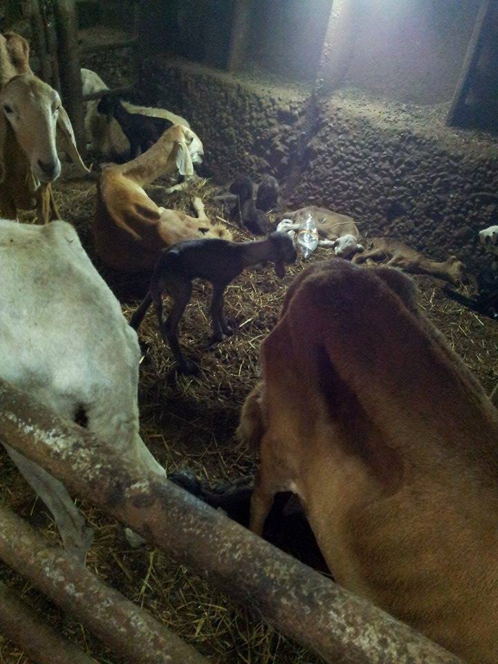 sudansudansudansudansudansudansudansudansudan83.jpg Hosting at Sudaneseonline.com