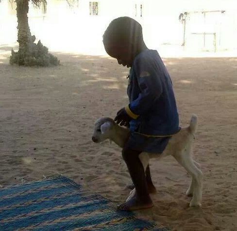 sudansudansudansudansudansudansudansudansudansudan12.jpg Hosting at Sudaneseonline.com