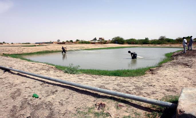 sudansudansudansudansudansudansudansudansudansudansudansudansudan10.jpg Hosting at Sudaneseonline.com