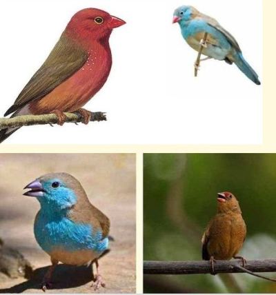 sudansudansudansudansudansudansudansudansudansudansudansudansudansudansudansudan.JPG Hosting at Sudaneseonline.com