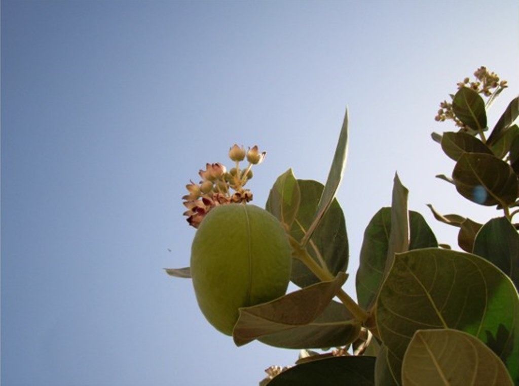 sudansudansudansudansudansudansudansudansudansudansudansudansudansudansudansudan12.jpg Hosting at Sudaneseonline.com