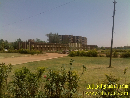 sudansudansudansudansudansudansudansudansudansudansudansudansudansudansudansudansudansudansudansudan.jpg Hosting at Sudaneseonline.com