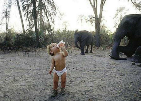 t15.jpg Hosting at Sudaneseonline.com