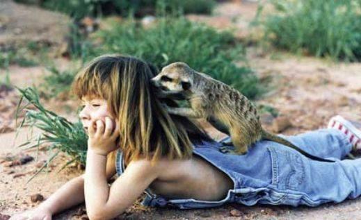 t17.jpg Hosting at Sudaneseonline.com