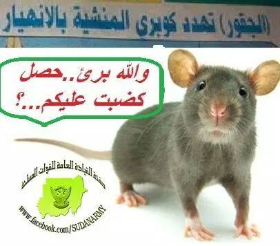 10251889_882017248514960_2202599139889932446_n.jpg Hosting at Sudaneseonline.com