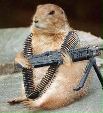 10407280_1559714454286030_8735964131909981016_n.jpg Hosting at Sudaneseonline.com