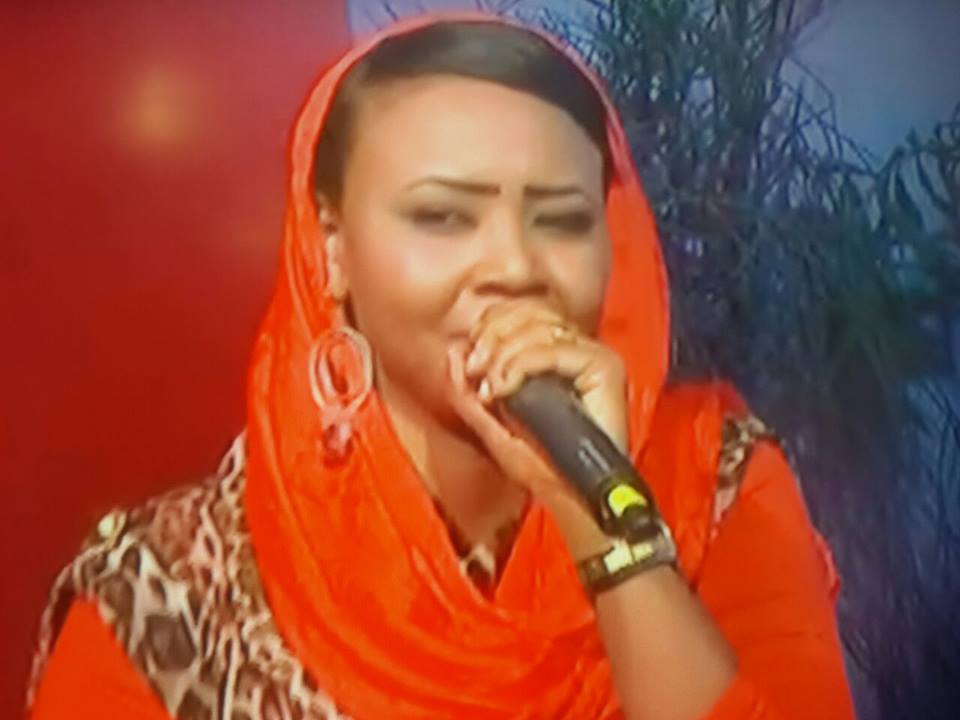 10410863_431208650370284_8431971036798629596_n.jpg Hosting at Sudaneseonline.com