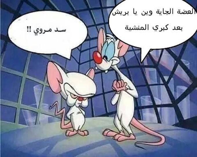 10945749_10152579675396373_4940843697002599575_n.jpg Hosting at Sudaneseonline.com