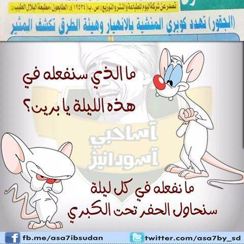 10968531_778122015599675_1019355930671326283_n.jpg Hosting at Sudaneseonline.com