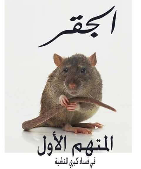 10978717_882015818515103_6294781369160824522_n.jpg Hosting at Sudaneseonline.com