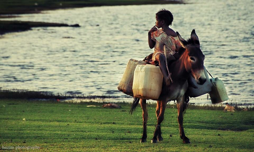 1604966_1003935779623401_233903479747141355_n1.jpg Hosting at Sudaneseonline.com