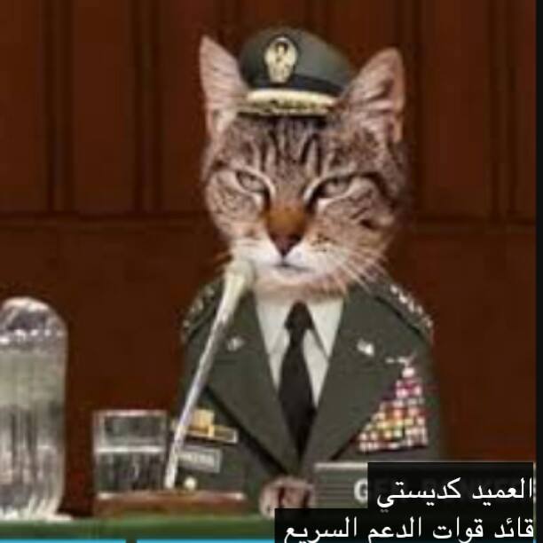 1780654_834359043272535_1600873548831308942_n.jpg Hosting at Sudaneseonline.com