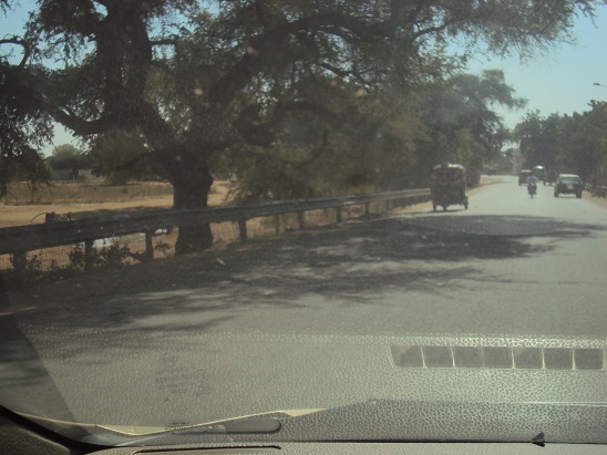 198.jpg Hosting at Sudaneseonline.com