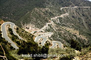 1sudan18sudan1.JPG Hosting at Sudaneseonline.com