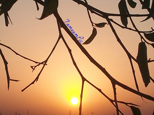 20131027_070017.jpg Hosting at Sudaneseonline.com