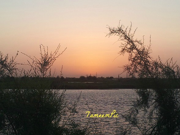 20131028_1.jpg Hosting at Sudaneseonline.com