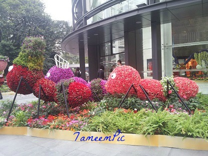 20131113_162454.jpg Hosting at Sudaneseonline.com