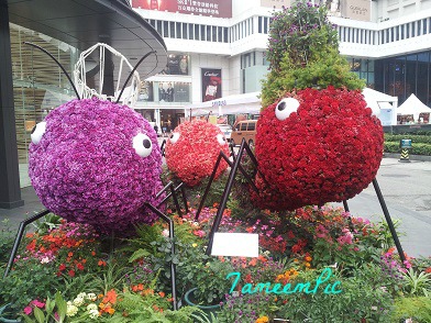 20131113_162523.jpg Hosting at Sudaneseonline.com