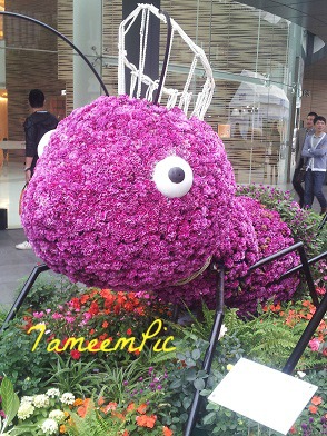 20131113_162627.jpg Hosting at Sudaneseonline.com