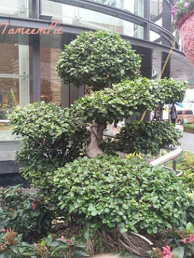 20131113_162852.jpg Hosting at Sudaneseonline.com