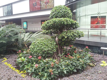 20131113_162934.jpg Hosting at Sudaneseonline.com